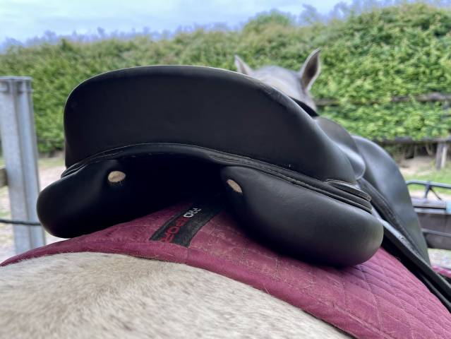 Selle mixte Antarès Connexion 17.5 3A noire