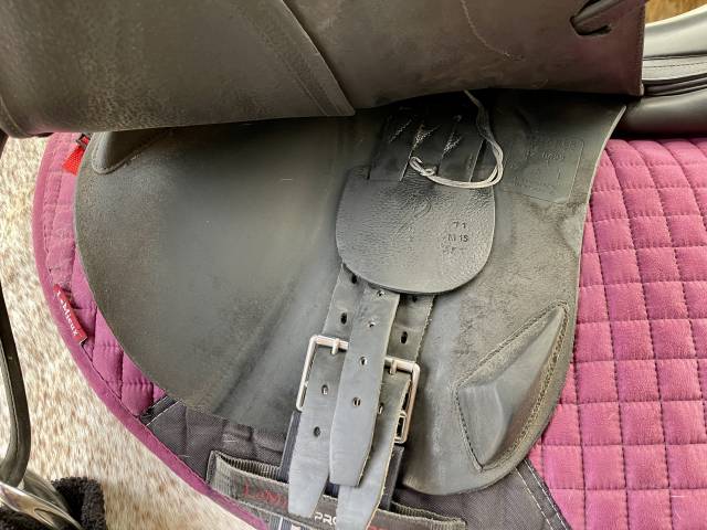 Selle mixte Antarès Connexion 17.5 3A noire