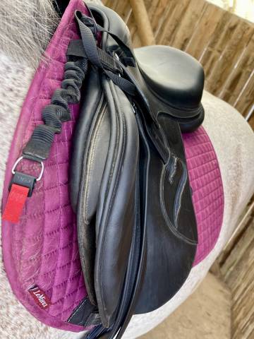 Selle mixte Antarès Connexion 17.5 3A noire