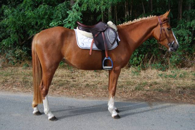 MADEMOISELLE BUISS PFS