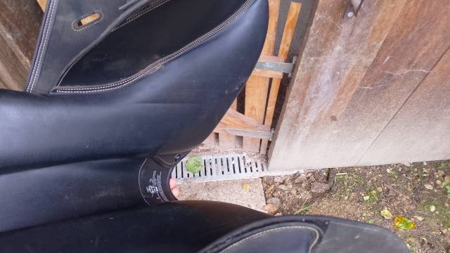 Selle Tekna mixte 17,5