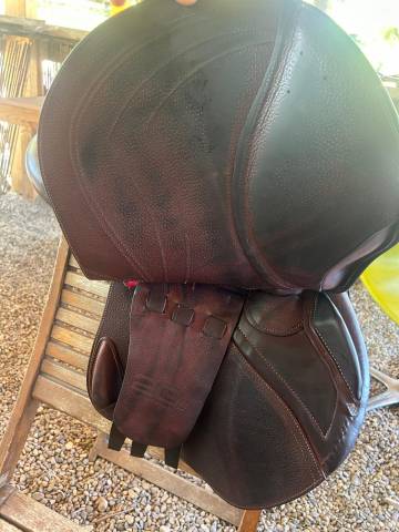 Vend Selle CWD 2GS Mademoiselle 2024 &ndash; Tr&egrave;s bon &Eacute;tat
