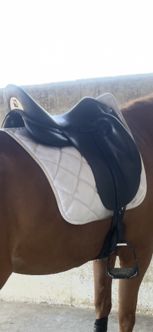 Selle dressage CHILDERIC DPL 18´´