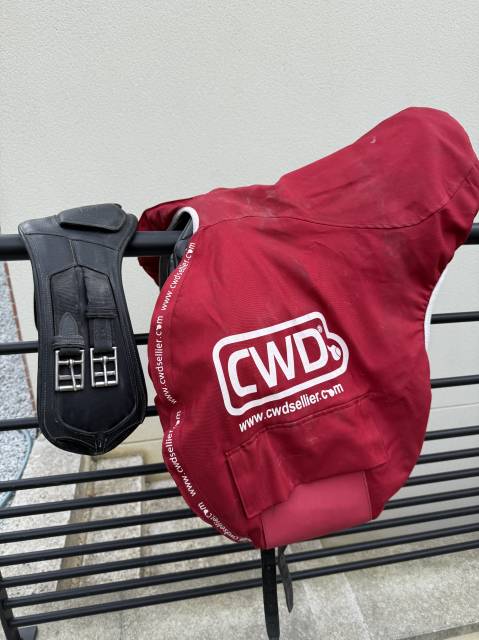 Selle de dressage Cwd 17,5