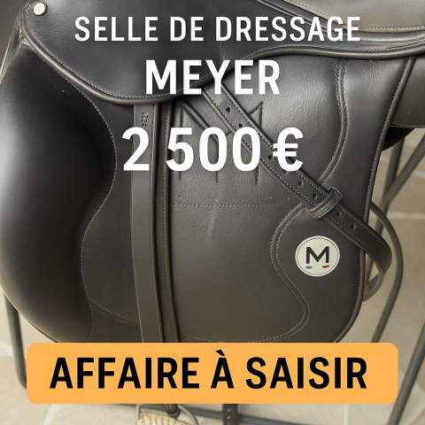MEYER AFFAIRE A SAISIR 