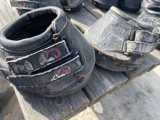 Hipposandale occasion