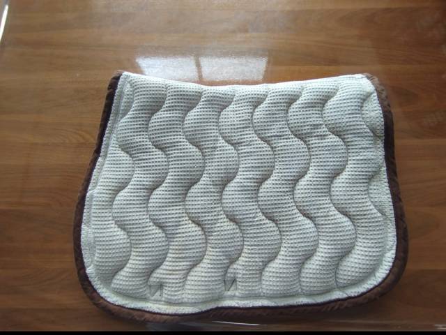 Tapis paddock sports en bon état 