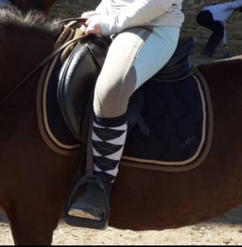 Tapis paddock sports en bon état 