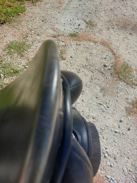 Selle zaldi New kent 17,5