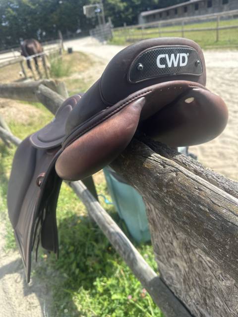 Selle Mademoiselle Cwd