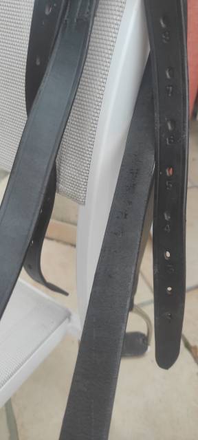 Étriers+étrivières 