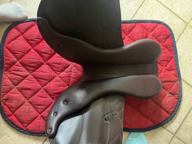 Selle Prestige DX cross 18’