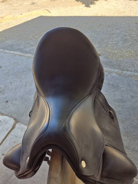 Selle dressage cwd