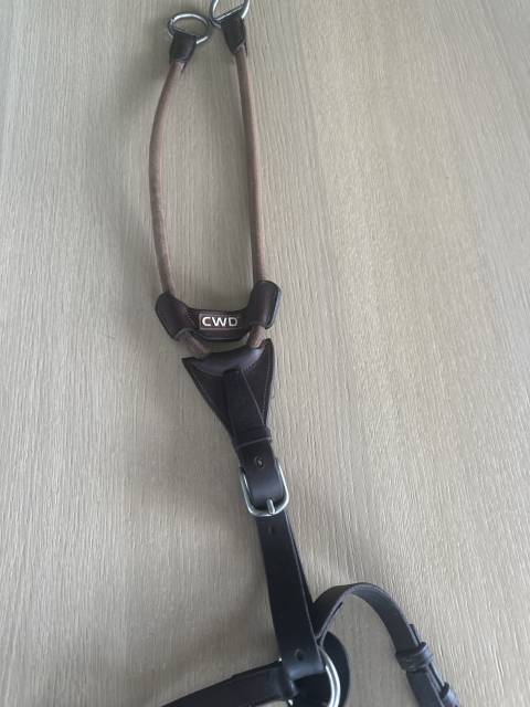 Collier de chasse avec martingale 