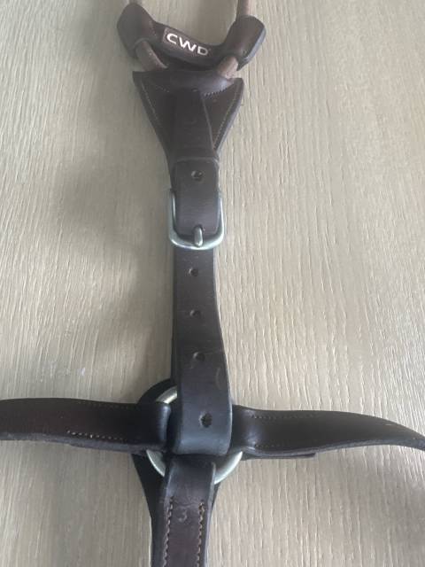 Collier de chasse avec martingale 