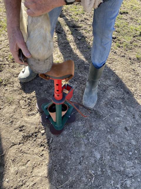 Trépied de maréchalerie « tout en un »