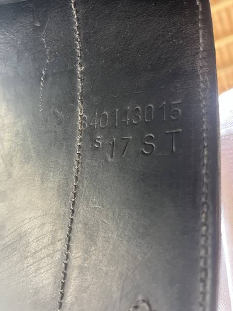 Selle Forestier dressage 