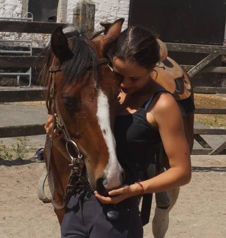 Hongre Quarter Horse A vendre 2021 Paint par Black Magic WR Bear