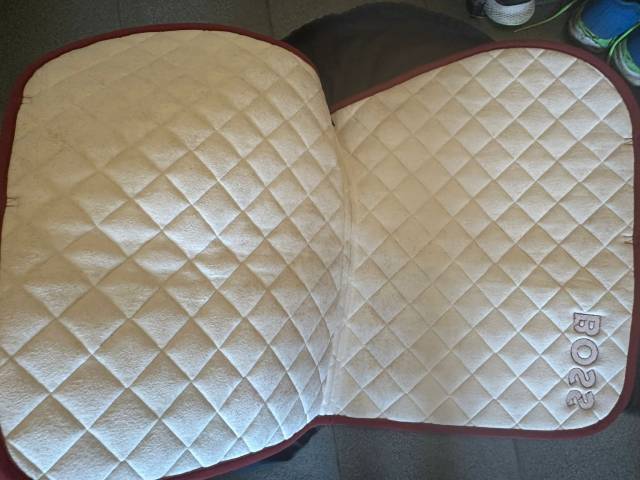 Tapis cheval  très bon état marque BOSS