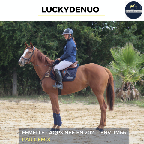 LUCKYDENUO - AQPS - 4 ANS 