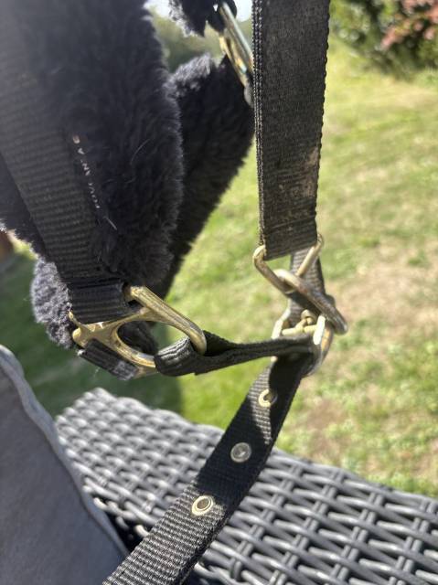 Licol équitation en mouton synthétique Cheval - noir