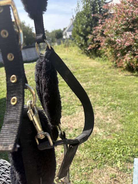 Licol équitation en mouton synthétique Cheval - noir