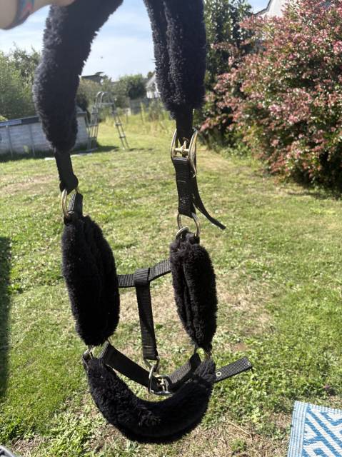 Licol équitation en mouton synthétique Cheval - noir