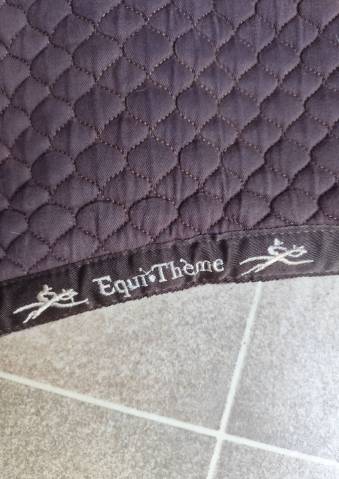 Amortisseur de dos Equithème Marron