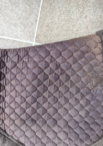 Amortisseur de dos Equithème Marron