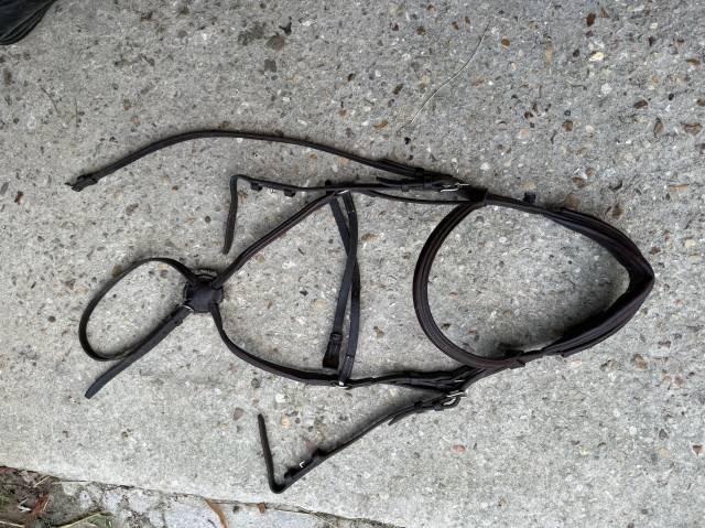 Bridon cwd t3 havane