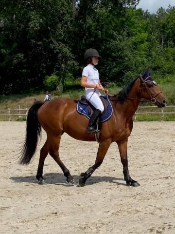 CHEVAUX CCE