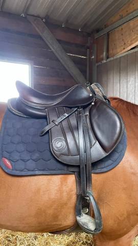 Selle FORESTIER SEOUL C 