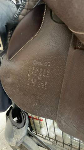 Selle FORESTIER SEOUL C 