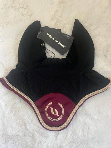 Bonnet back on track