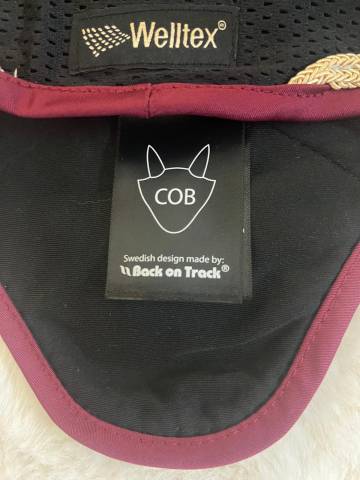 Bonnet back on track