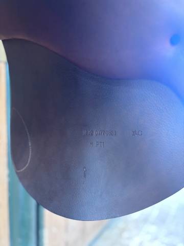 Selle d’obstacle Renaissance – Prestige Italia (TBE)