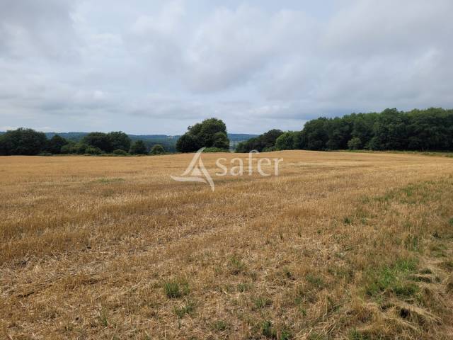 Terrain agricole LA SEGALASSIERE