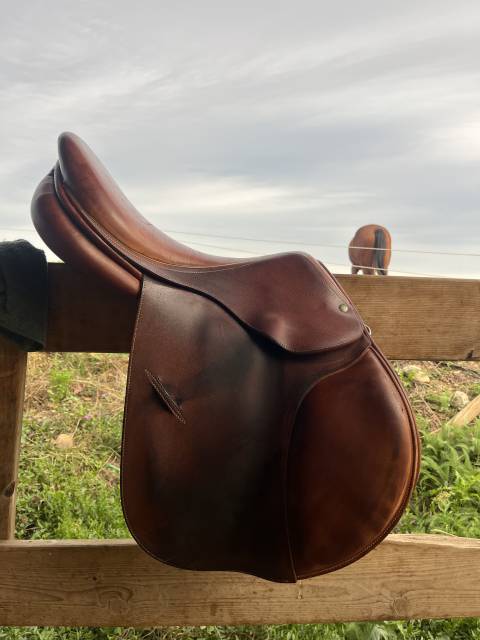 Selle childeric 