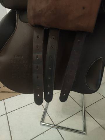 Selle forestier seoul