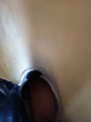 Botte équitation Joël Albert 