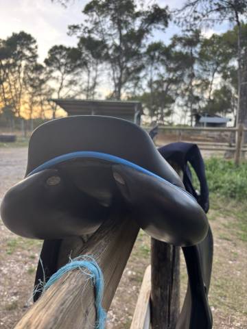 Selle GBS noire 18" – liseré bleu – très bon état