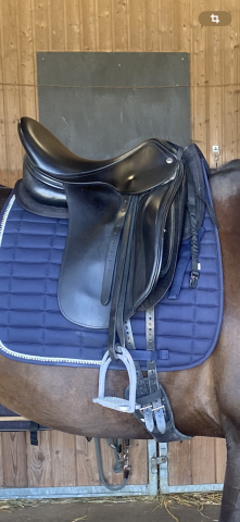 Selle de dressage Keith Brian Santis, 17 1/2“