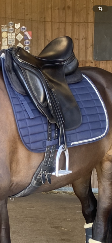 Selle de dressage Keith Brian Santis, 17 1/2“