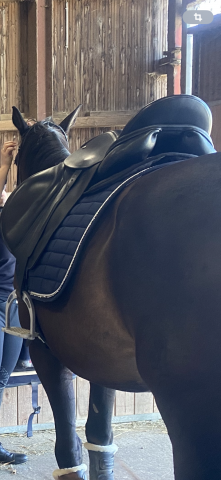 Selle de dressage Keith Brian Santis, 17 1/2“