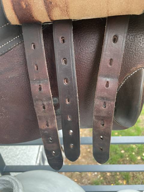 Selle Forestier Séoul 