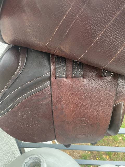 Selle Forestier Séoul 