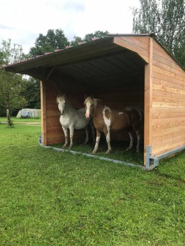 Abri déplaçable en bois Douglas