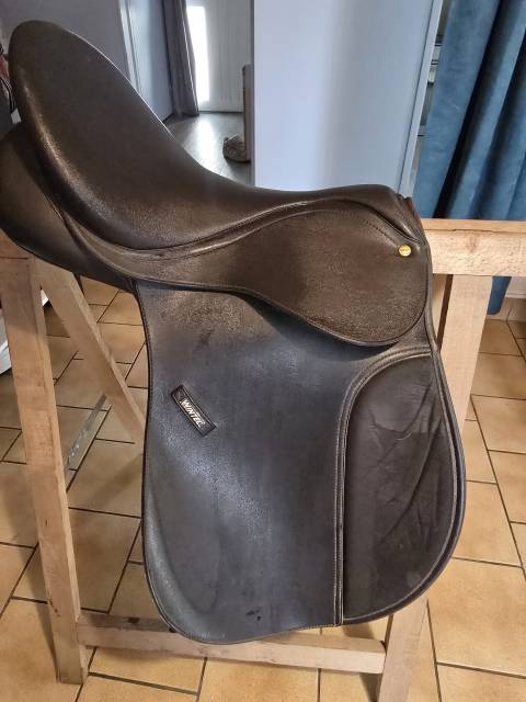 Selle wintec 250