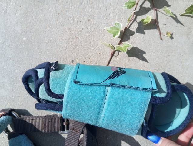 Guêtres + protèges boulet (licol offert)