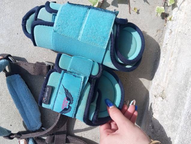 Guêtres + protèges boulet (licol offert)